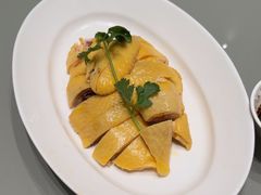 -红城阁·上海味道(四平路店)