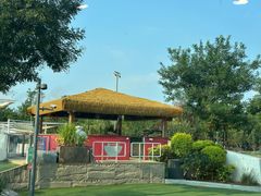 -爪吧宠物乐园 (温榆河示范区店)