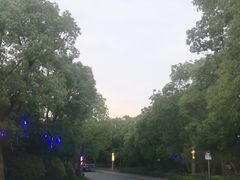 -上海崇明金茂凯悦酒店