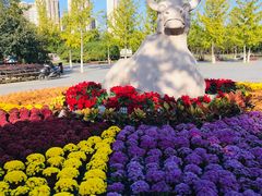 -永定河休闲森林公园