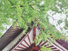 -湖畔居茶楼(湖滨店)