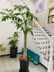 -痘博士昆明·国际祛痘领跑品牌