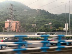 -南山植物园