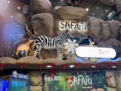 点击看大图 -卡通尼·Safari非洲探索乐园·生日会(金桥国际商业广场店)