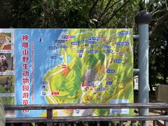 -西霞口神雕山野生动物世界