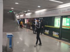 -杨高南路(地铁站)