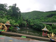 -西双版纳原始森林公园