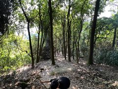 -火炉山森林公园