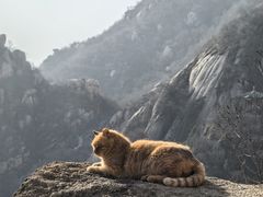 -北京凤凰岭