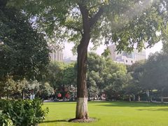 -常州古运河南大街文化旅游区-人民公园