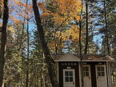 -五营红松林海景区