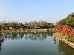 -上海海湾国家森林公园