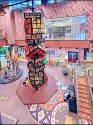 -卡通尼·Safari非洲探索乐园·生日会(金桥国际商业广场店)