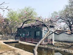 -桃花堤公园