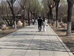 -长春市南湖公园