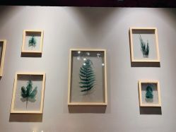 -三只熊皮肤管理中心