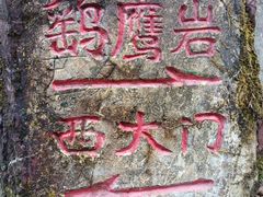 -南山植物园