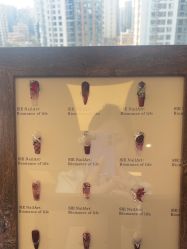 -Lumi露米·美甲美睫品质店