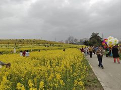 -三圣花乡旅游区