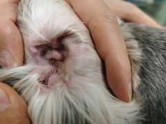 -乐琪宠物(青塔西路店)