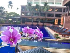 -曼谷湄南河畔华美达广场酒店