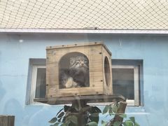 -青藏高原野生动物园