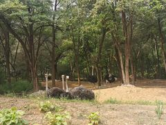 -北京野生动物园
