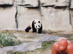 -上海野生动物园