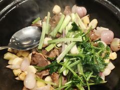 -顺德了能馆(虎门店)