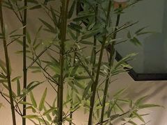 -小厨娘淮扬菜(六合欢乐港店)