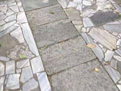 -蝴蝶泉公园