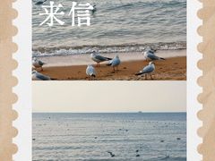 -青岛海滨风景区