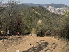 -青龙山国家森林公园