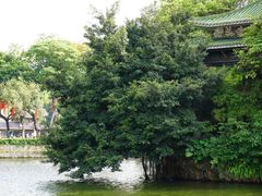 -荔湾湖公园