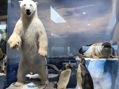 -国家自然博物馆