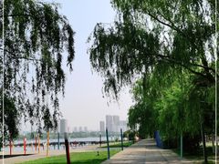 -长白岛森林公园