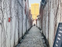 -青果巷历史文化街区