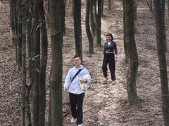 -广州市帽峰山景区