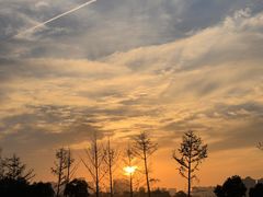 -汉长安城未央宫国家考古遗址公园