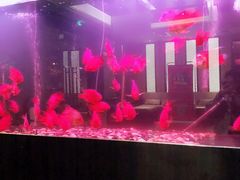 -大唐盲人按摩中心(黄山路店)