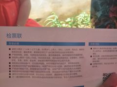 -雅鲁激流探险漂流