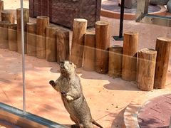 -南戴河国际娱乐中心