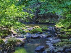 -茅兰沟国家森林公园