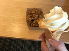 -重庆南山海昌汤都