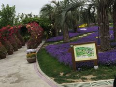 -南通洲际绿博园