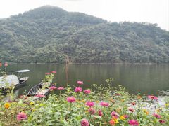 -新安江山水画廊风景区