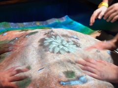 -珠海横琴国家地理探险家中心(创新方)