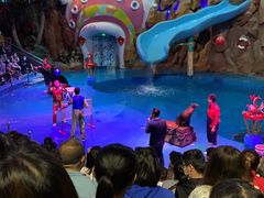 -烟台海昌鲸鲨海洋公园