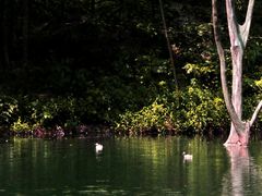 -祁门牯牛降观音堂风景区