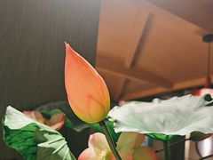 -湊湊火锅·茶憩(杭州湖滨银泰in77店)